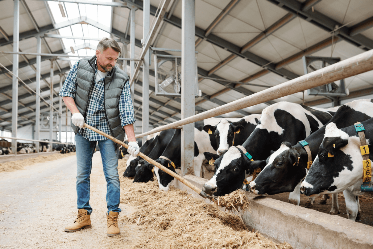 Exploitation agricole et agroalimentaire accompagnée par You Energie pour réduire ses coûts d'énergie