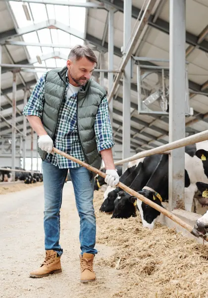Agriculture & agroalimentaire